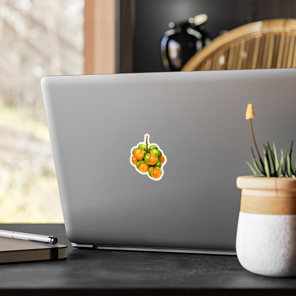 Sticker "Quenepas Boricuas" Borinquea