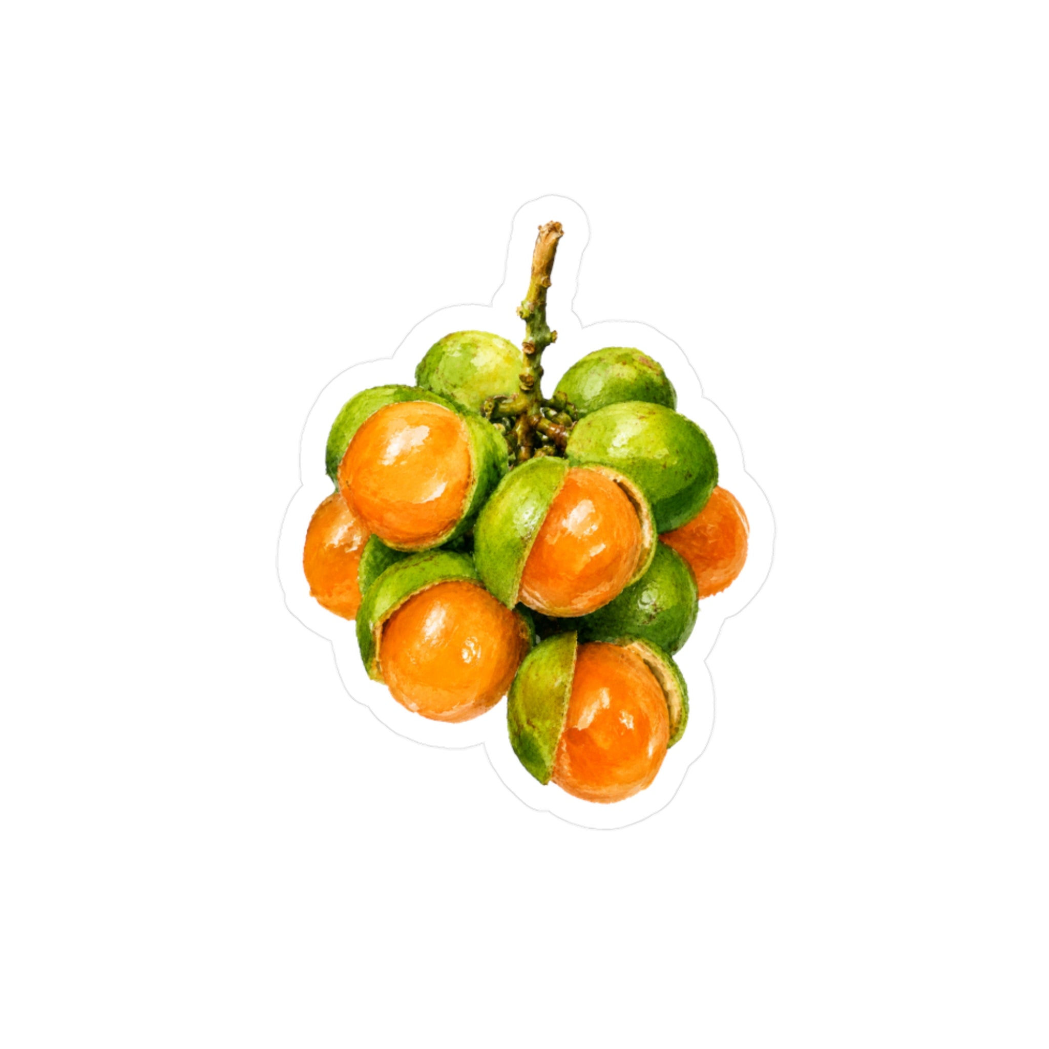 Sticker "Quenepas Boricuas" Borinquea